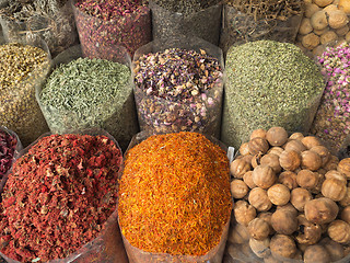 Image showing The spices