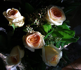 Image showing Roses