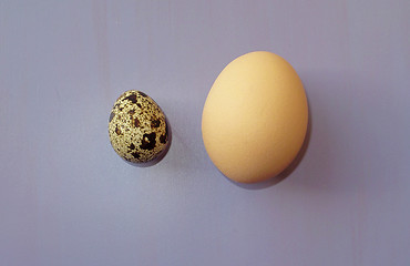 Image showing Small and big eggs