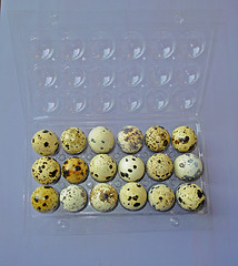 Image showing Quail eggs