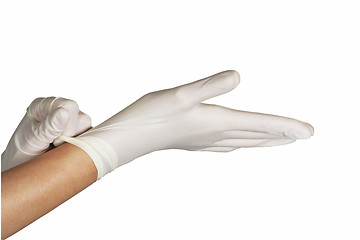 Image showing Surgical gloves