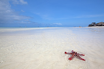 Image showing Zanzibar beach