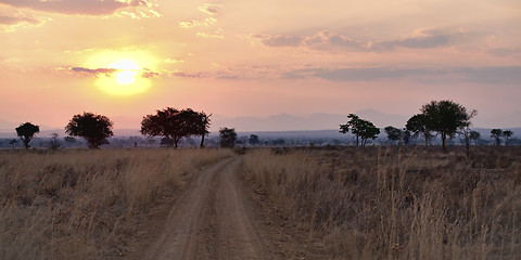 Image showing African Savannah