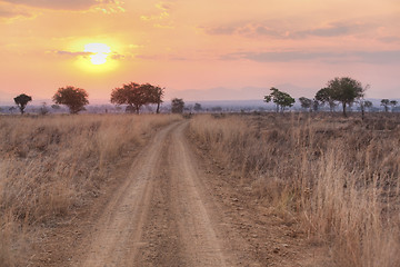 Image showing African Savannah