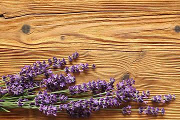 Image showing Lavender