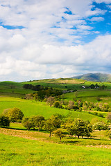 Image showing On the pasture in Yorkshire Dales