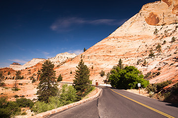 Image showing The road in Zion Canyon