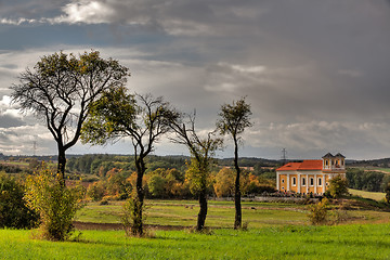 Image showing On the pasture 