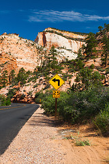 Image showing The road in Zion Canyon 