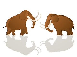 Image showing Charging bulls