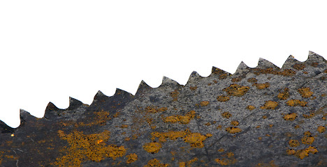 Image showing rusty hand saw blade on white 