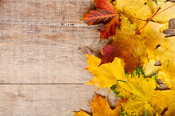 Image showing autumn leaves over wooden background