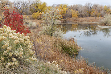 Image showing gravel pit into natural area