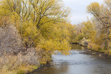 Image showing Cache la Poudre River