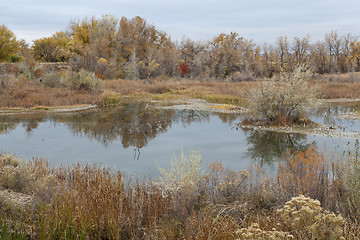 Image showing gravel pit into natural area