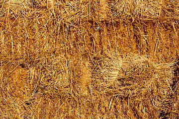 Image showing Stacked straw bales