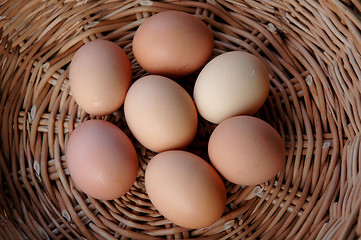 Image showing Eggs