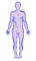 Image showing male human anatomy figure