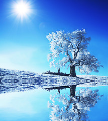 Image showing Alone frozen tree 