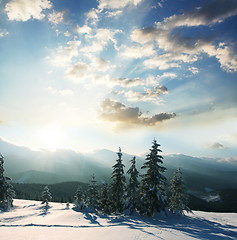 Image showing winter snowbound forest 