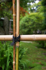 Image showing Bamboo fence detail