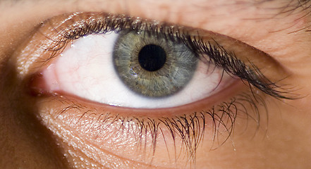 Image showing eye
