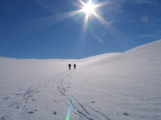 Image showing Cross Country Skiing