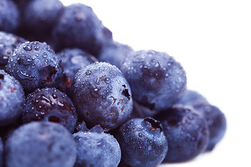Image showing pile of fresh  blueberry fruits with water drops on 