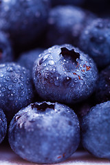 Image showing wet blueberries 