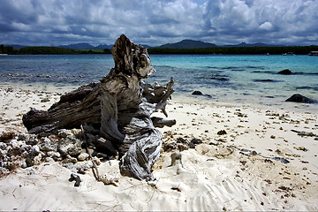 Image showing mauritius beach