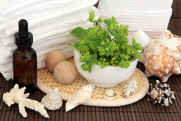 Image showing Herbal Spa