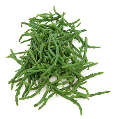 Image showing Samphire