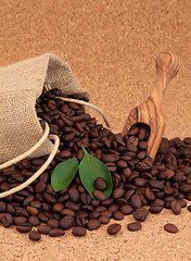 Image showing  Coffee Beans