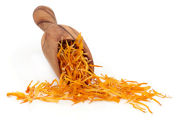 Image showing Calendula Flower Petals