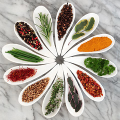 Image showing Herbs and Spices