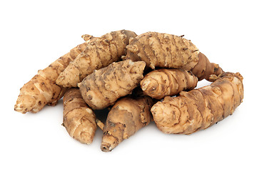 Image showing Jerusalem Artichokes 