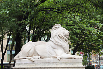 Image showing New York Public Library Lion