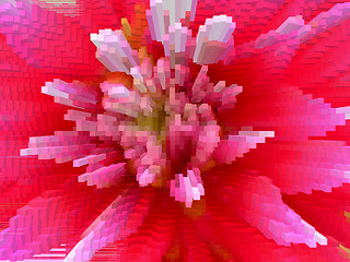 Image showing Red abstract background with flower