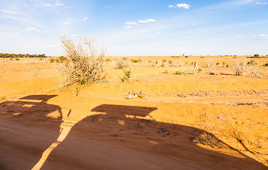 Image showing Safari Vehicles silhouettes