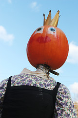 Image showing Pumpkin person portrait