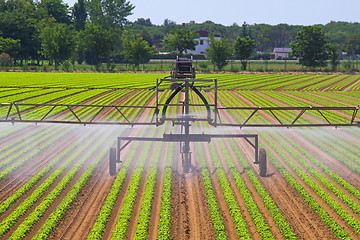 Image showing Irrigation sprinkler