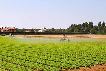 Image showing Irrigation field