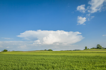 Image showing landscape with special cloud