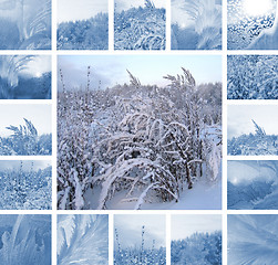 Image showing Winter collage