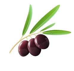 Image showing Black olives