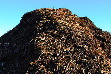 Image showing Pile of bark