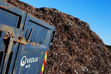 Image showing Garden waste