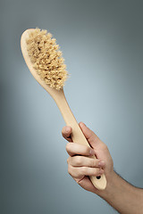 Image showing Bath Brush