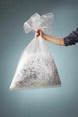 Image showing Shredded Paper