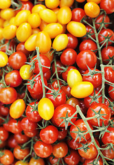 Image showing Tomatoes